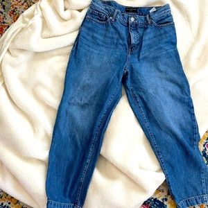Banana Republic Barrel Jeans